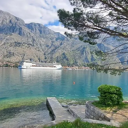Apartment Vujosevic D&D Kotor Zimmer foto