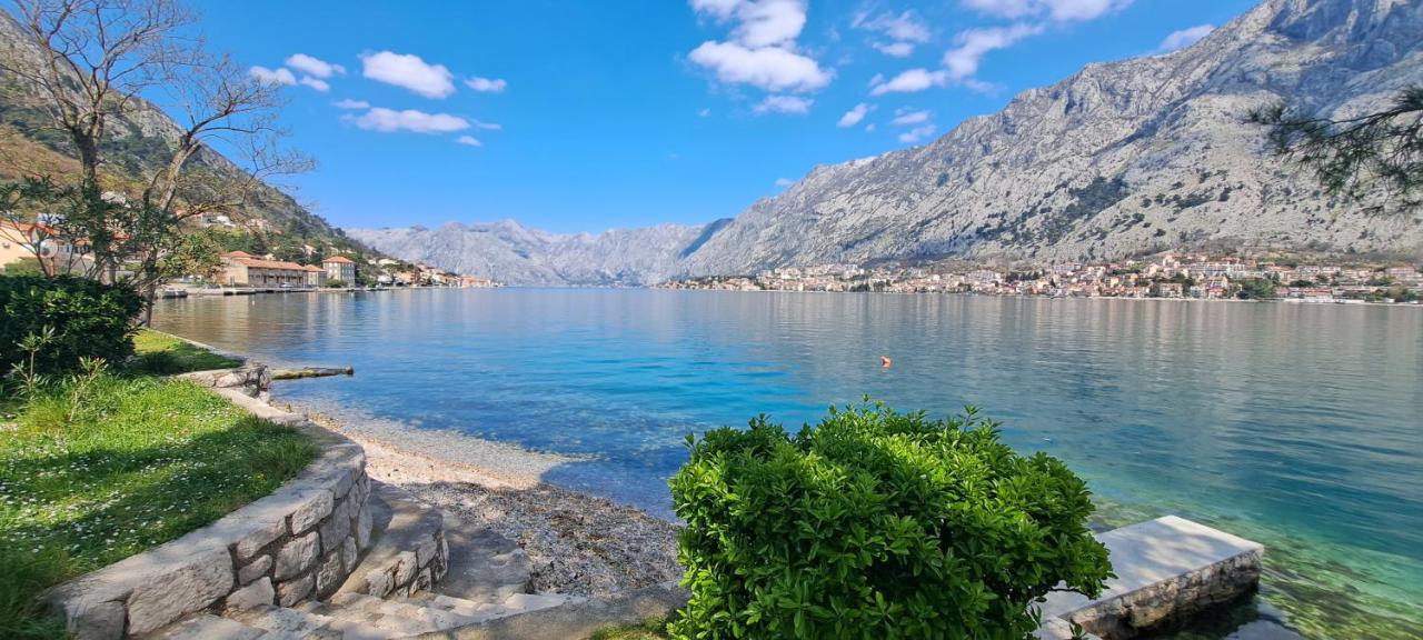 Vujosevic D&d Apartment Kotor